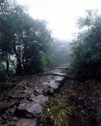 玉舍国家森林公园