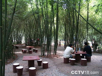 红石野谷——杨家岩景区