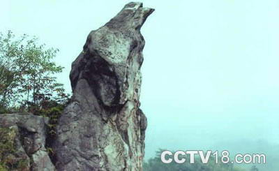 九龙江森林公园