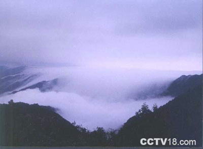 八面山自然保护区