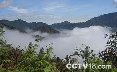 舜皇山国家森林公园