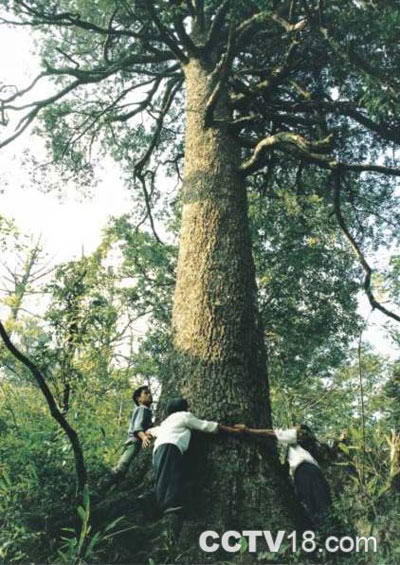 千家洞自然保护区