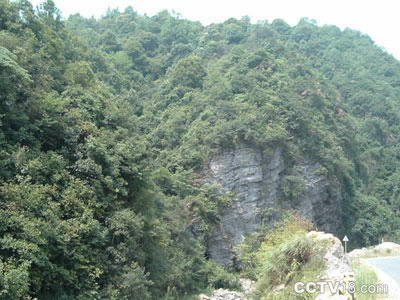 鹰嘴界国家级自然保护区