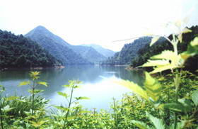 五龙溪风景旅游区