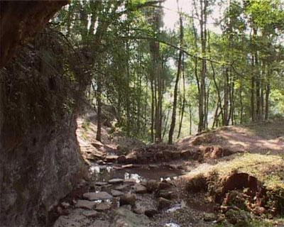 清凉山森林公园