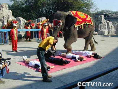 香江野生动物世界