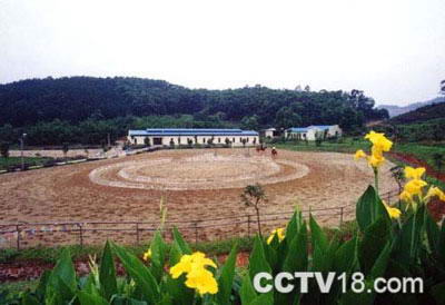 骑士堡马术俱乐部