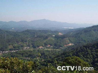 天鹿湖森林公园