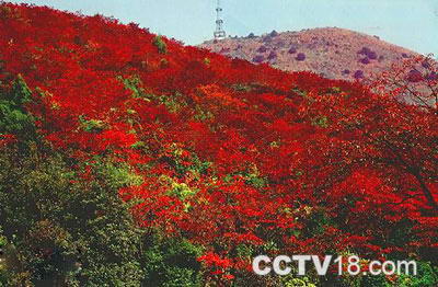 石门国家森林公园