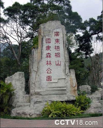 梧桐山国家森林公园