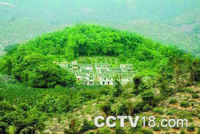 坝光乡村风景区