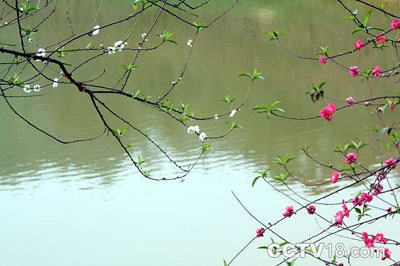 南国桃园旅游度假区