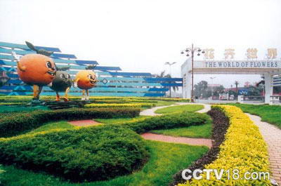 陈村花卉世界