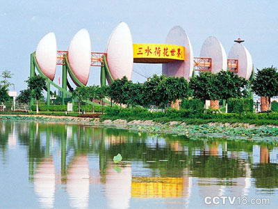 三水荷花世界