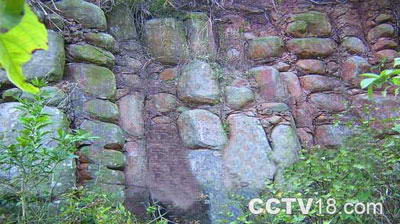 九龙山自然风景区