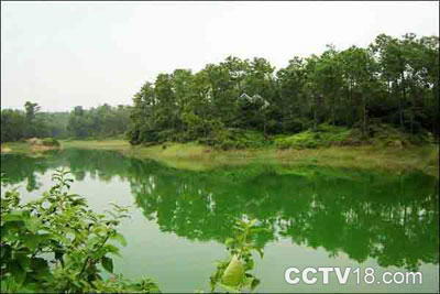 三岭山森林公园