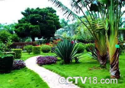 南亚热带植物园