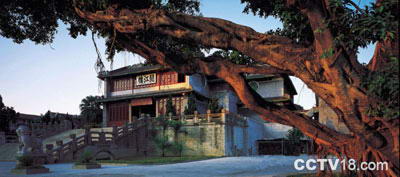 肇庆城东清真寺