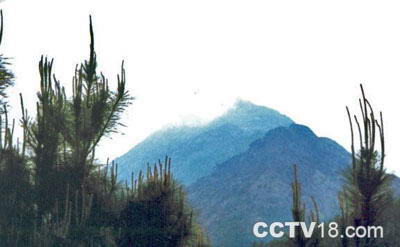 大稠顶自然生态旅游区