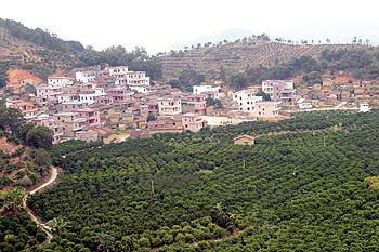 云龙山旅游度假区