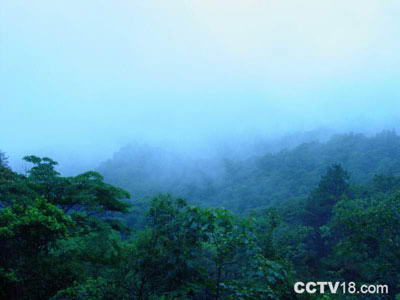 烂柯山自然保护区