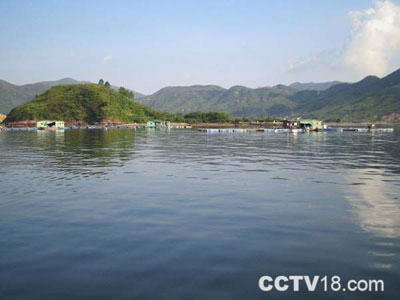 惠阳大亚湾景区