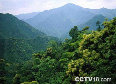 古田自然保护区