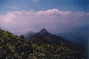 莲花山自然保护区