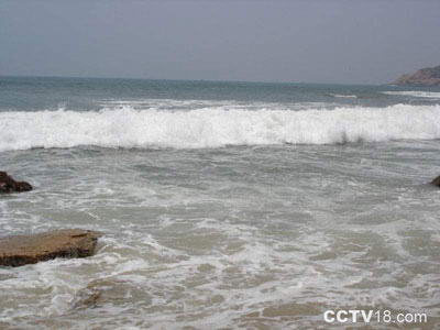 港口海龟自然保护区