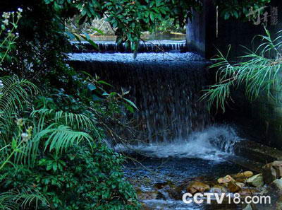 七目嶂自然保护区