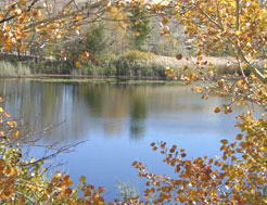 白沙湖农业生态园