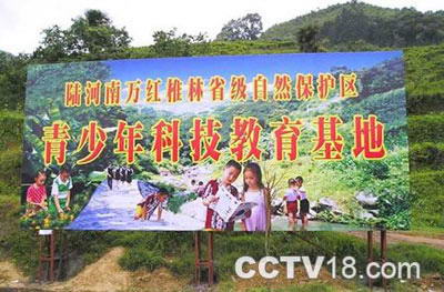 南万红椎林生态公园