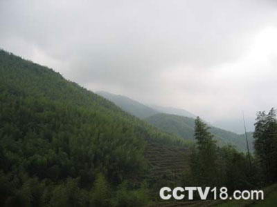 红山高坪自然保护区