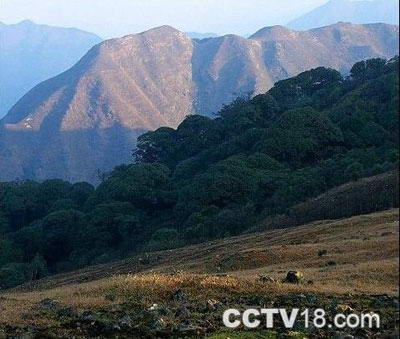 万时山自然保护区