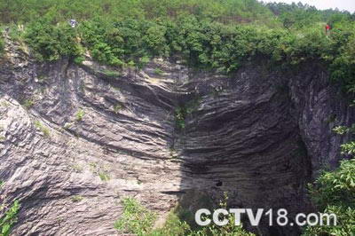 通天箩原始森林