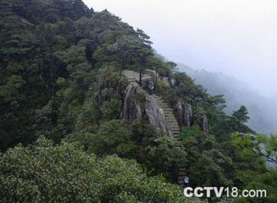 南岭国家森林公园