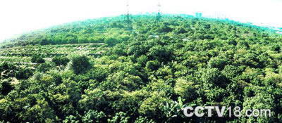 称架省级自然保护区