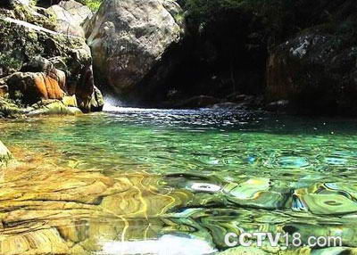 石门台自然保护区