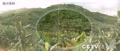 埔田生态农业旅游区