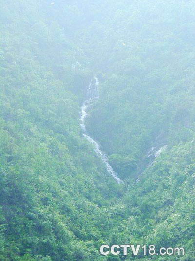 叫水坑原始森林