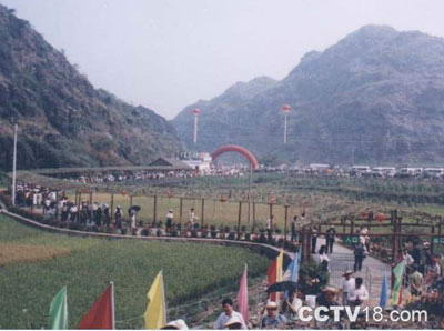 杜鹃花生态观赏园