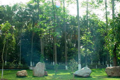 广西药用植物园