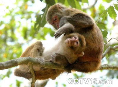 龙虎山自然保护区