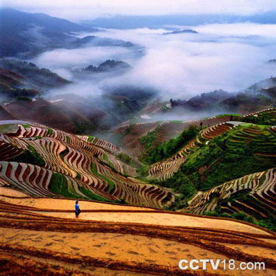 龙脊梯田