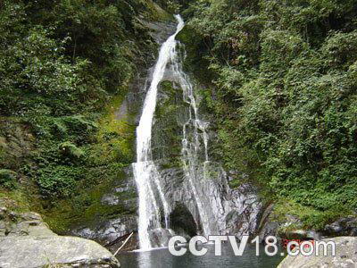 花坪自然保护区