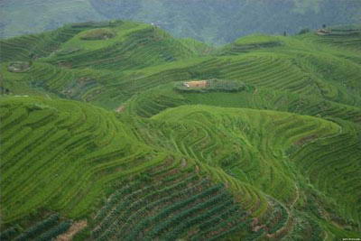 龙胜梯田