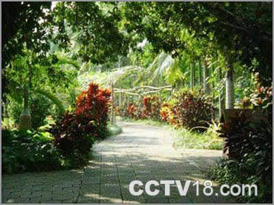 兴隆热带植物园