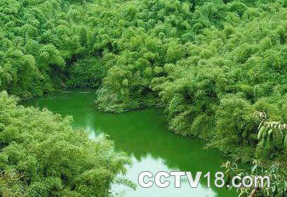 川西竹海薛家船