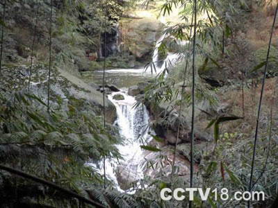 画稿溪生态保护区