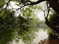 崴螺山长寿风景区
